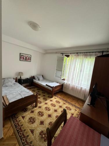 a living room with two beds and a window at Privatni smeštaj Sobe Branković in Gornja Toplica