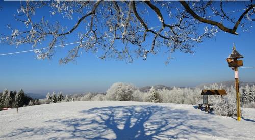 a snow covered hill with a tree and a bird house at Rodinný dům v klidném prostředí in Slavkov pod Hostýnem
