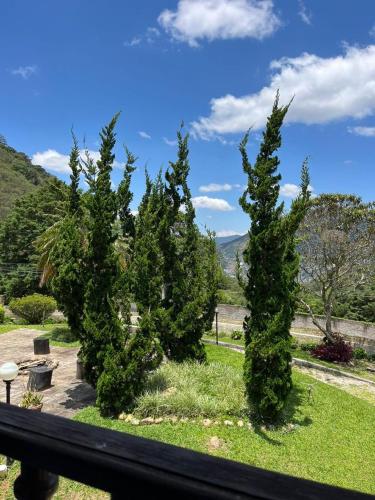 a group of trees in a yard with grass at Recanto dos Vianas in Teresópolis