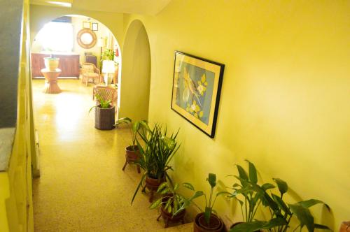 a hallway with plants and a painting on the wall at Sahara dela Mer Inn in Montego Bay