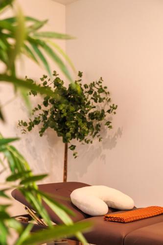 a living room with a couch and a plant at Enigma - Nature & Water Hotel in São Teotónio