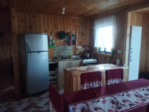 a kitchen with a refrigerator and a table with chairs at Cabañas encanto de Chovellen in Pelluhue