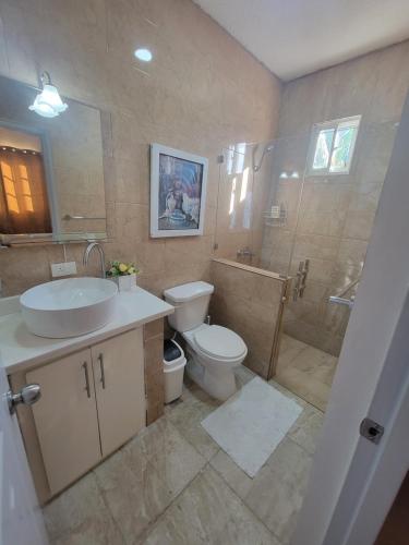 The Omelís House في سانتا باربرا دو سامانا: حمام مزود بمغسلة ومرحاض ودش
