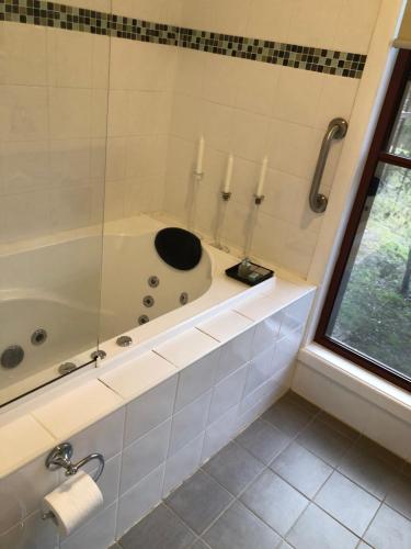 Koupelna v ubytování ecoRidge Hideaway