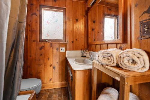 ein Badezimmer mit Waschbecken und Toilette in einem Zimmer in der Unterkunft The Fawnskin Hideaway, HUGE Backyard, BBQ & Patio! in Fawnskin