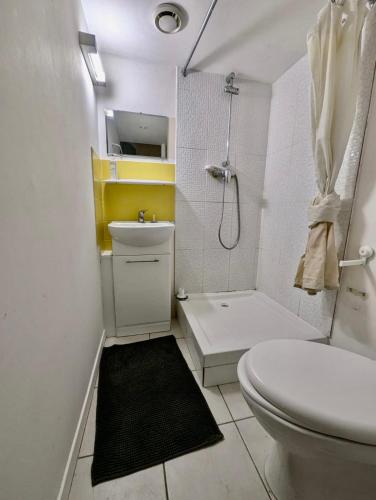une salle de bain avec des toilettes blanches et une douche dans l'établissement Studio Nouveau - Centre & Calme avec Wifi, à Grenoble