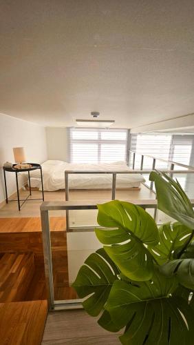 a bedroom with a bed and a potted plant at Majestic Seoul Stay Central in Seoul