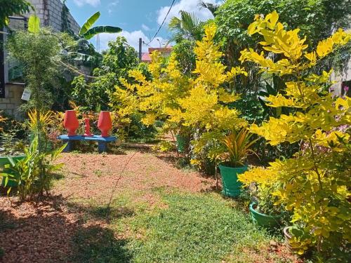 a garden with two chairs and yellow flowers at City Paradise Dambulla in Dambulla