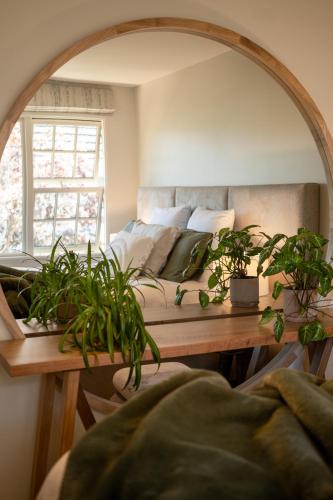a bedroom with a bed with a mirror and plants at Luxurious Central City Living in Christchurch
