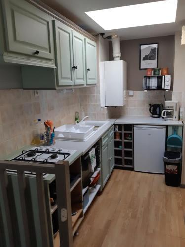 - une cuisine avec des placards verts, un évier et une cuisinière dans l'établissement 