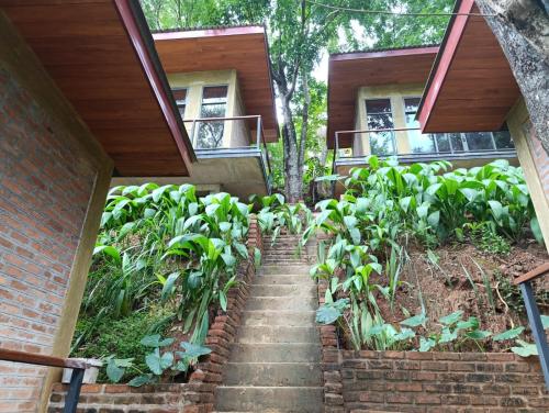 Taman di luar Kandy Bird Villas