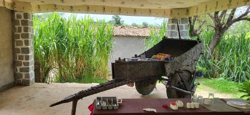 Vườn quanh Dera Jawai - Best Safari Lodge in Jawai Bandh