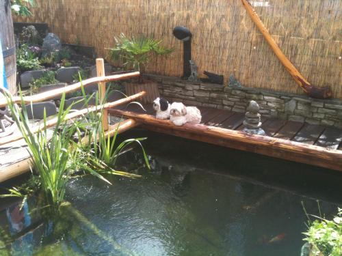 two stuffed animals sitting on a wooden bridge over a pond at Residence Priska in Racines