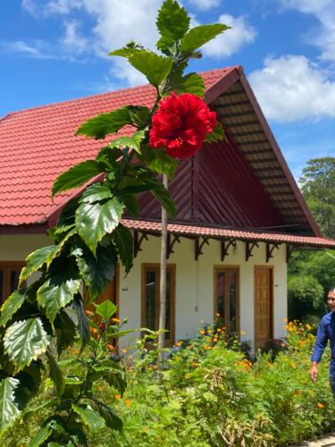 Zahrada ubytování Boeung Kirirum Lumhae Resort