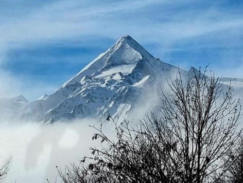 a snow covered mountain with a tree in the foreground at Lakeside Luxury Apartments in Zell am See