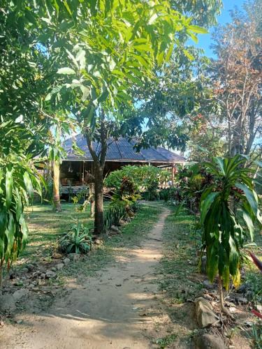a path through a garden with a building in the background at FANDEE ISLAND Treehouses & Ziplines - Tad Lo, Bolaven Loop Pakse in Ban Kiangtat
