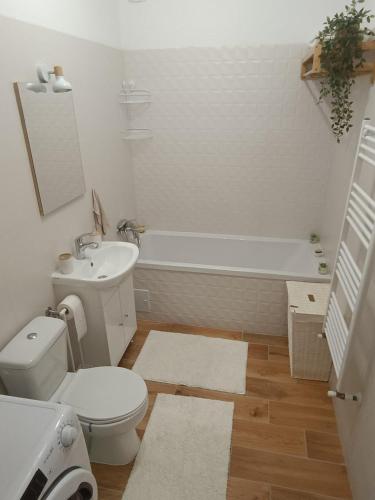 Ένα μπάνιο στο Daniela Apartment Brasov