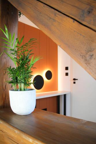 a plant in a white pot sitting on a wooden table at Apartmán Kukučínova in Banská Bystrica