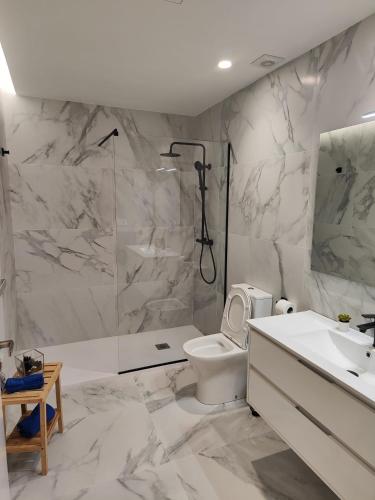a bathroom with a shower and a toilet and a sink at Apartamento Hortensia Diseño Exclusivo in Ponteareas