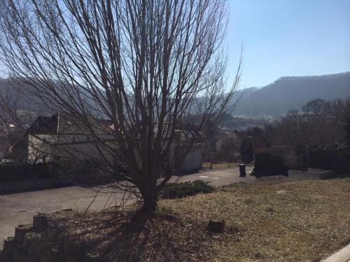 ein Baum, der mitten im Garten sitzt in der Unterkunft Ferienwohnung Merzenbühl in Bad Überkingen