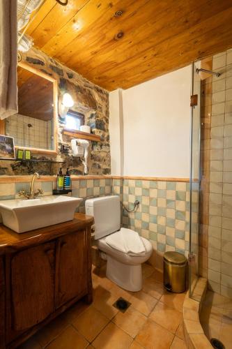 a bathroom with a white toilet and a sink at 4 Seasons Premium Chalet & Massage Treatments in Palaios Agios Athanasios