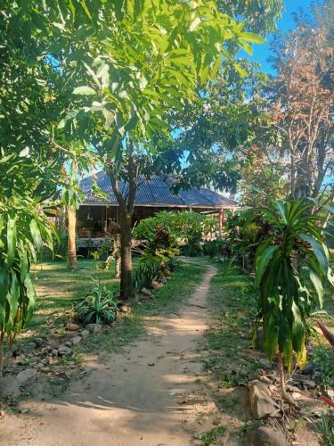 a path in front of a house with trees at FANDEE ISLAND Treehouses & Ziplines - Tad Lo, Bolaven Loop Pakse in Ban Kiangtat