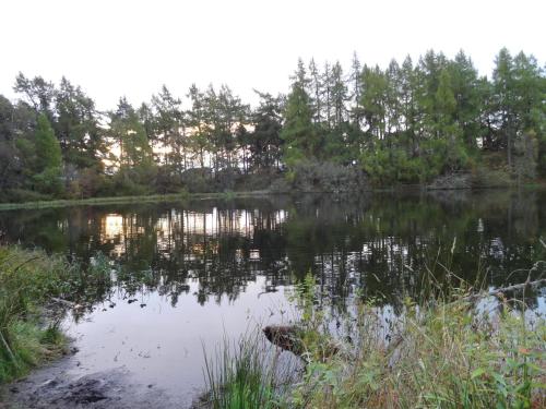 a body of water with trees in the background at Dullatur in Newtonmore