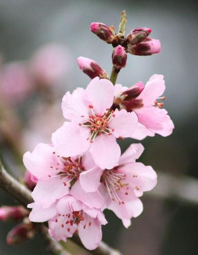 PUERTO NAOS SOL y MAR