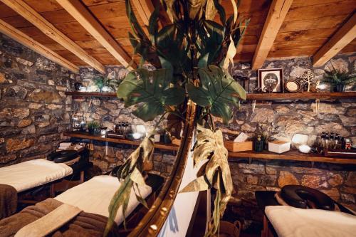 a room with two beds and a plant in it at 4 Seasons Premium Chalet & Massage Treatments in Palaios Agios Athanasios