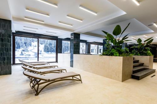 a row of chairs in a room with a potted plant at Continental SPA Resort in Bukovel
