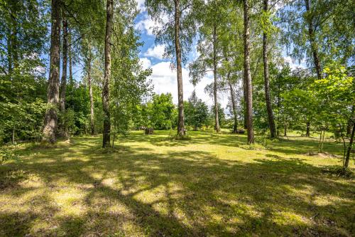 a park with trees and a field of grass at Egliškių Oazė Sodyba su pirtimi kubilu- privatumas garantuotas in Vilnius