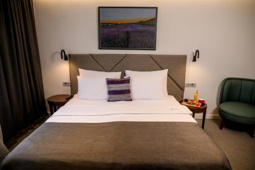 a hotel room with a bed and a chair at Hotel Botanica in Belgrade