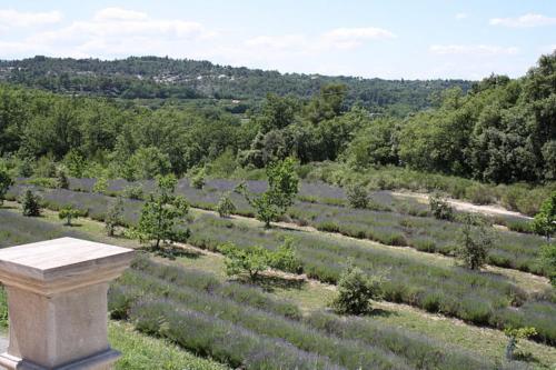 a view of a garden with trees at very beautiful and charming 18th century estate in bonnieux, luberon area, in provence - 8 personnes in Bonnieux