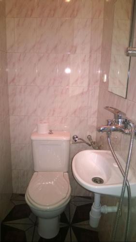 a bathroom with a toilet and a sink at Hostel Alex 1 in Sofia