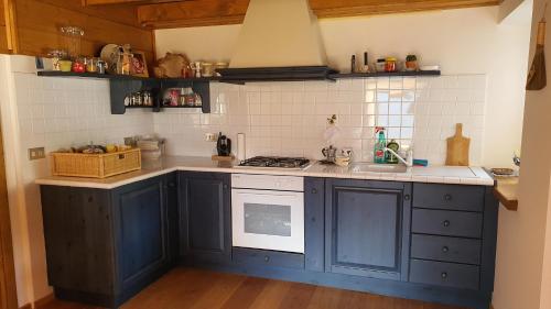 a blue kitchen with a sink and a stove at Dolomites Holiday Home in Rivamonte
