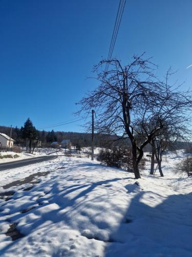 a snow covered road with a tree in the middle at apartman Luisiana in Lukovdol