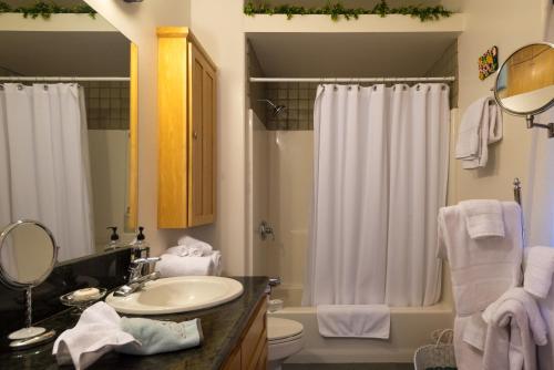 Bilik mandi di The River Road Retreat at Lake Austin-A Luxury Guesthouse Cabin & Suite