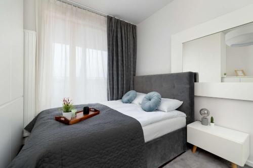 Lubicz Stylish Apartment with Parking and Air Conditioning in the City Center by Noclegi Renters