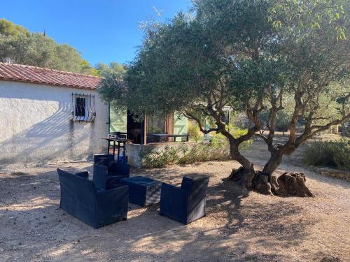 un groupe de chaises assis à côté d'un arbre dans l'établissement Maison 55m2 cadre campagne, le mas des anges, à Sanary-sur-Mer