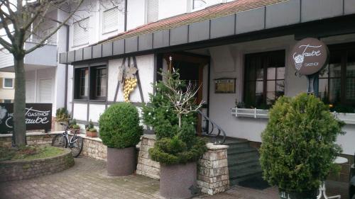a building with a giraffe in the window of it at Hotel Gasthof Traube in Kernen