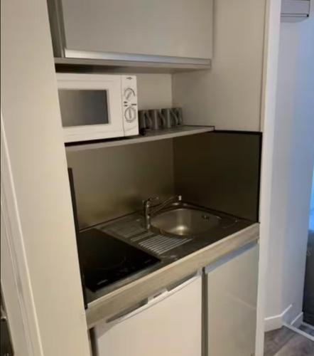 une petite cuisine avec un évier et un micro-ondes dans l'établissement studio centre-ville historique, à Chambéry