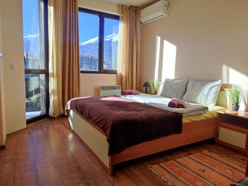 Snow Lodge Mountain view