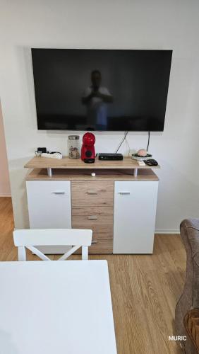 TV/Unterhaltungsangebot in der Unterkunft Apartmani MURIC Ljubljana