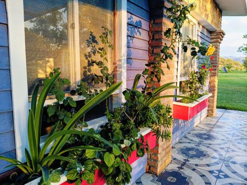 a porch with potted plants on the side of a house at Cabañas El Encuentro in Parras de la Fuente
