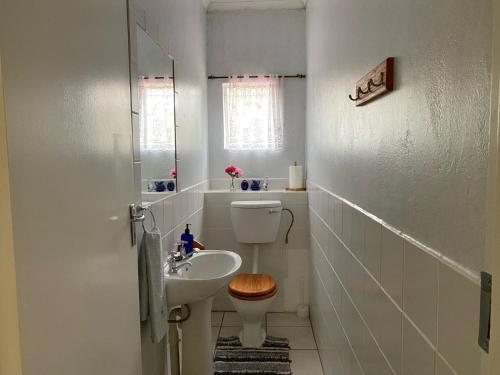 une salle de bains blanche avec toilettes et lavabo dans l'établissement Mvemve Lodge at GrootPoort, à Memel