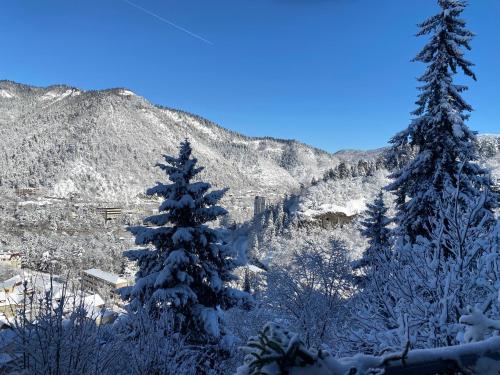 two snow covered trees in front of a mountain at Anano's House in Borjomi