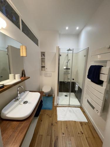 a bathroom with a sink and a shower at Maison de ville avec terrasse in La Rochelle