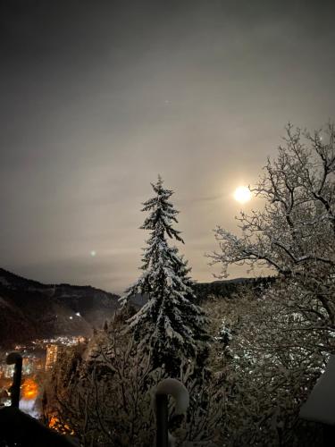 a snow covered tree on a hill with the sun in the background at Anano's House in Borjomi