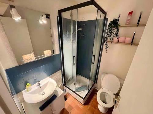 une salle de bain avec une douche, des toilettes et un lavabo dans l'établissement Cocon Marine-Piscine-Vue Lac-Restaurants, commerces-Calme, au Barcarès