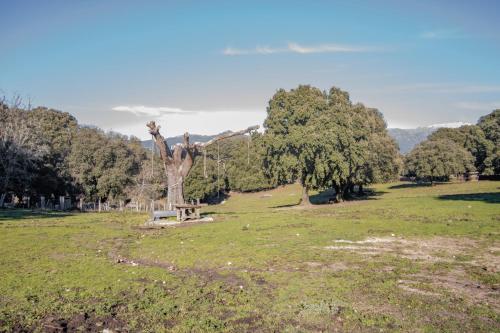 Φυσικό τοπίο κοντά σε αυτή η παραθεριστική κατοικία